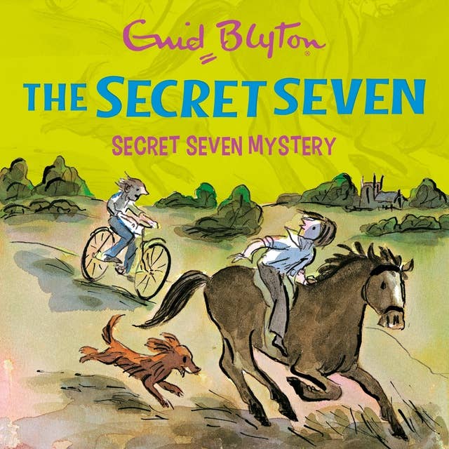 Secret Seven Mystery: Book 9