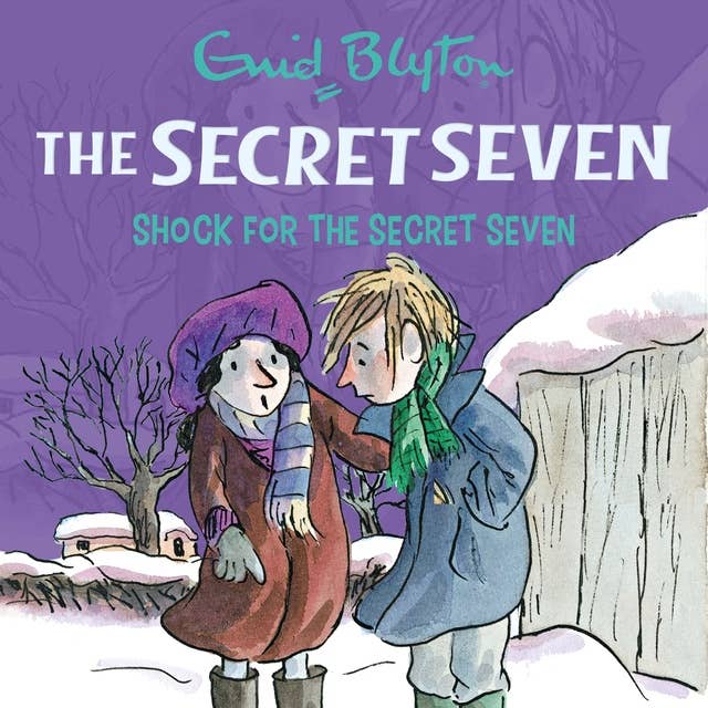 Shock for the Secret Seven: Book 13