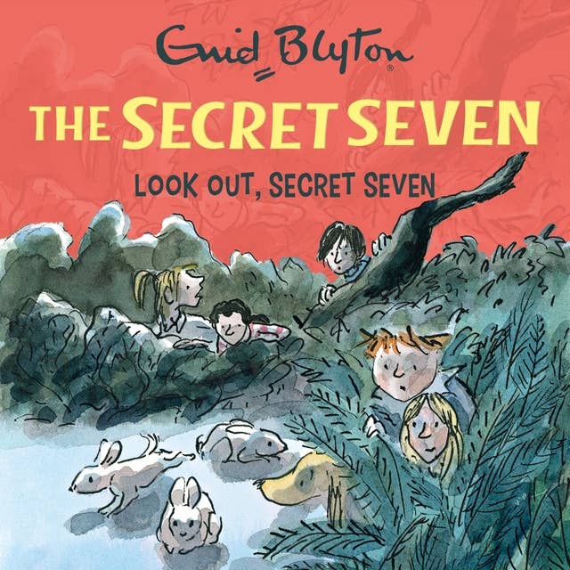 Look Out, Secret Seven: Book 14