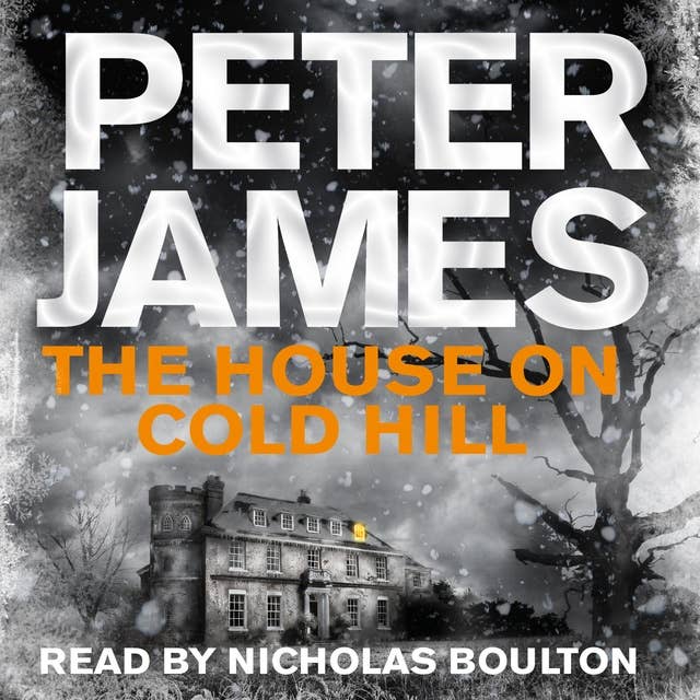 Cover for The House on Cold Hill