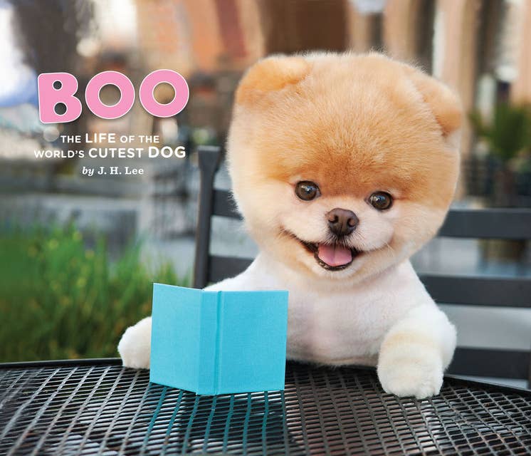 Boo: The Life of the World's Cutest Dog - E-bog J. H. Lee Mofibo