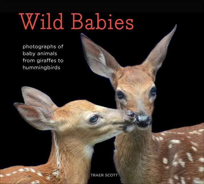 Wild Babies: Photographs of Baby Animals from Giraffes to Hummingbirds