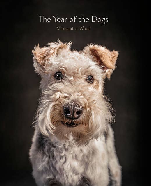 The Year of the Dogs