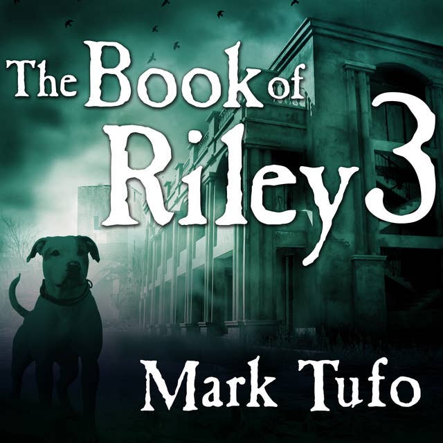 The Book of Riley 3: A Zombie Tale