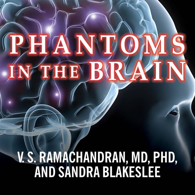 phantoms in the brain chapter 7 summary