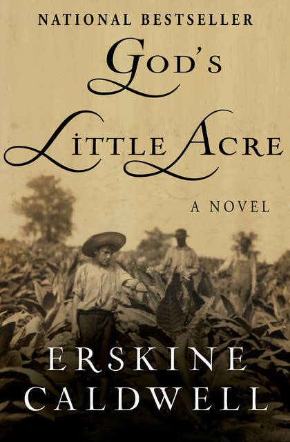 God's Little Acre -A Novel: A Novel