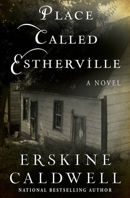 Place Called Estherville: A Novel