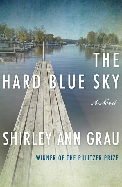 The Hard Blue Sky: A Novel