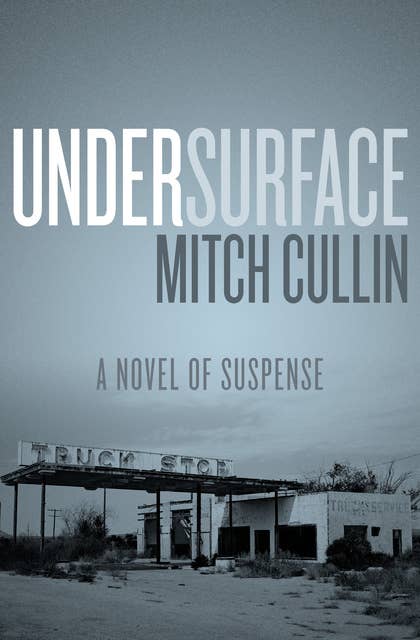 UnderSurface: A Novel of Suspense
