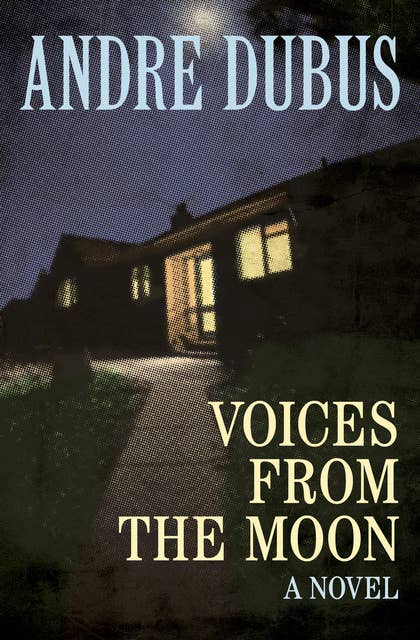 Voices from the Moon: A Novel