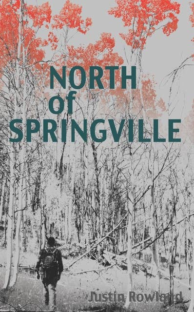 North of Springville