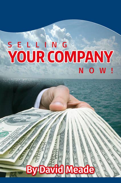 Selling Your Company Now!