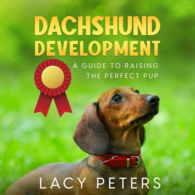 Dachshund Development: A Guide to Raising the Perfect Pup
