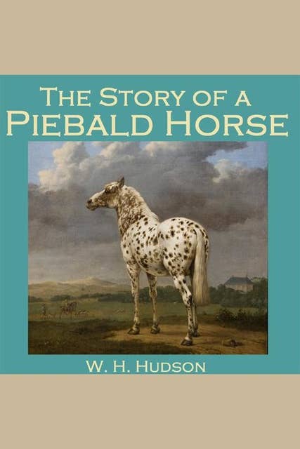 The Story of a Piebald Horse