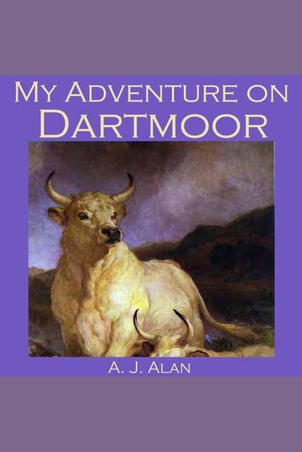 My Adventure on Dartmoor