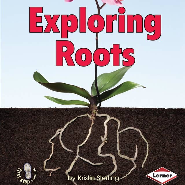 Exploring Roots