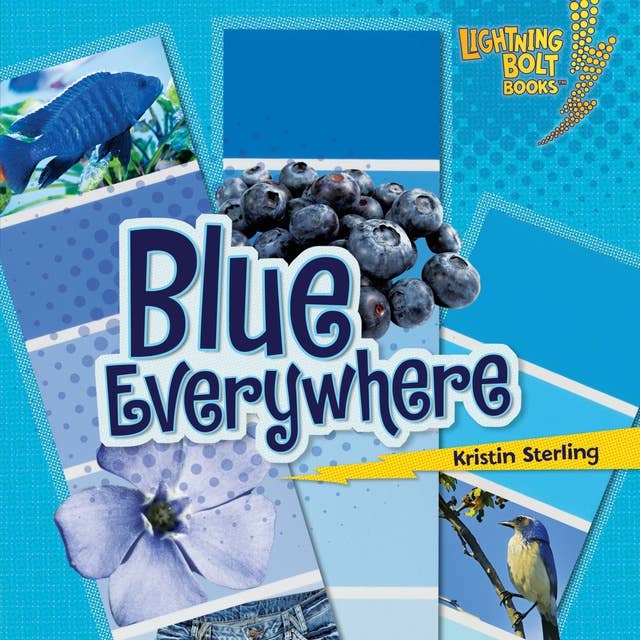 Blue Everywhere