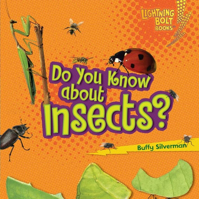 Do You Know about Insects?