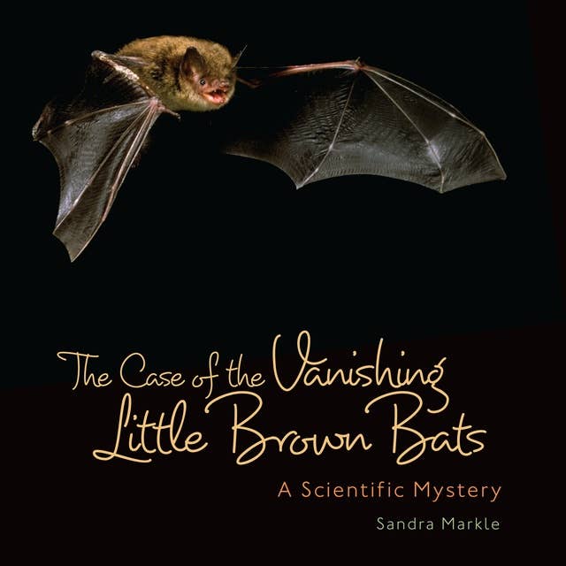 Case of Vanishing Little Brown Bats: A Scientific Mystery