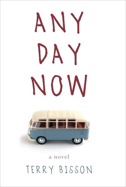 Any Day Now: A Novel