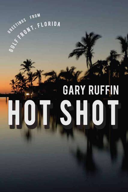 Hot Shot: A Novel