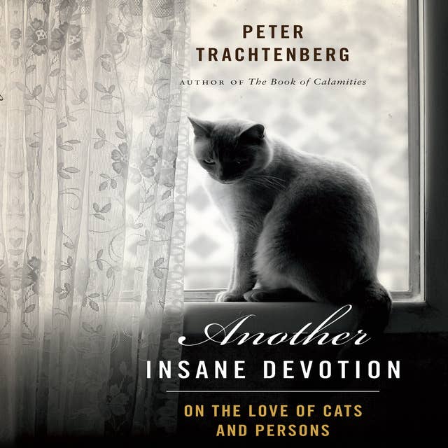 Cover for Another Insane Devotion: On the Love of Cats and Persons