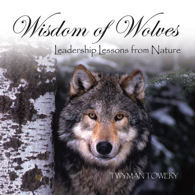 Wisdom of Wolves: Leadership Lessons from Nature