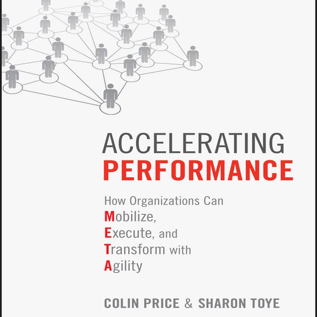 Accelerating Performance: How Organizations Can Mobilize, Execute, and Transform with Agility