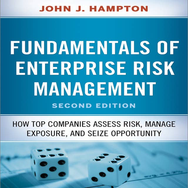 Fundamentals of Enterprise Risk Management: How Top Companies Assess Risk, Manage Exposure, and Seize Opportunity