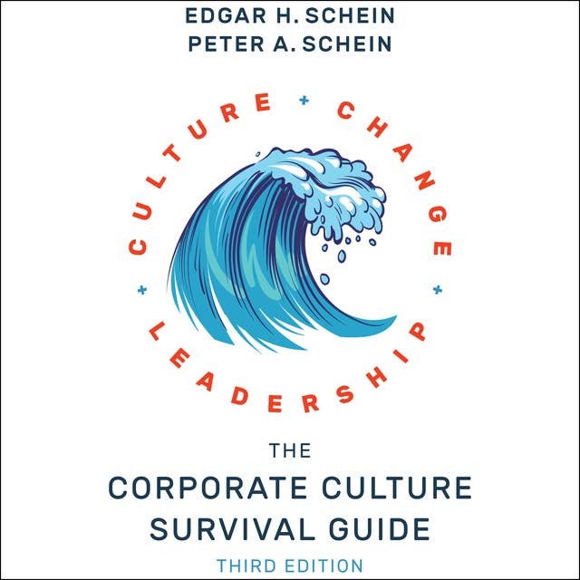 The Corporate Culture Survival Guide (3rd edition): 3rd edition