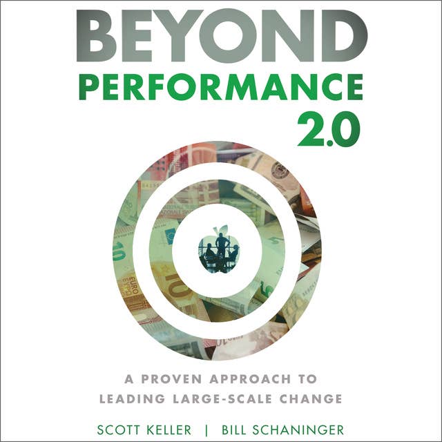 Beyond Performance 2.0: A Proven Approach to Leading Large-Scale Change: A Proven Approach to Leading Large-Scale Change 2nd Edition