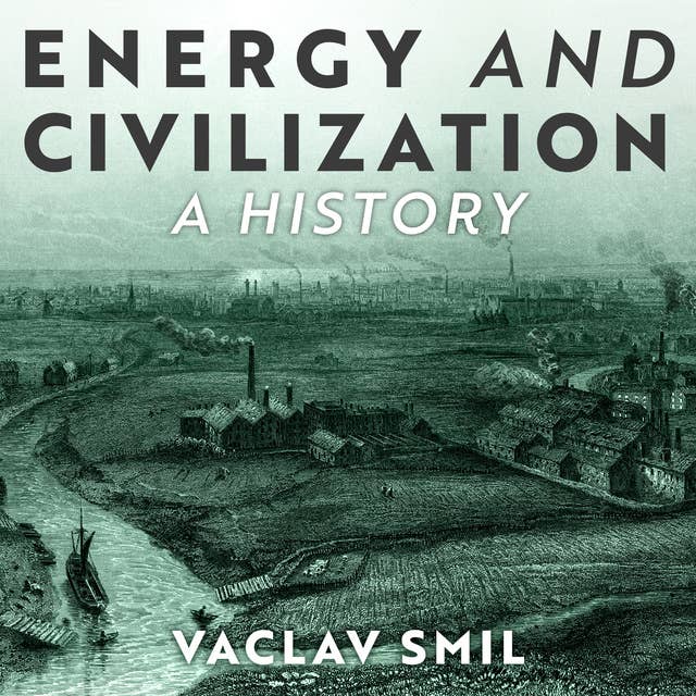 Cover for Energy and Civilization: A History