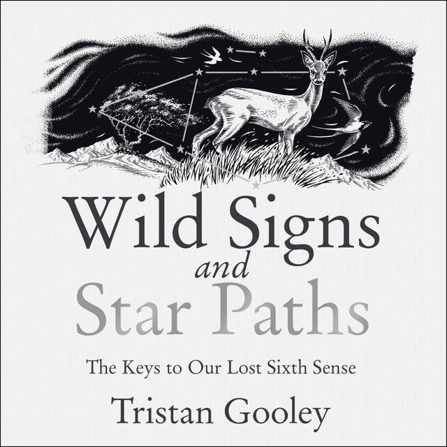 Wild Signs and Star Paths: The Keys to Our Lost Sixth Sense: 'A beautifully written almanac of tricks and tips that we've lost along the way' Observer