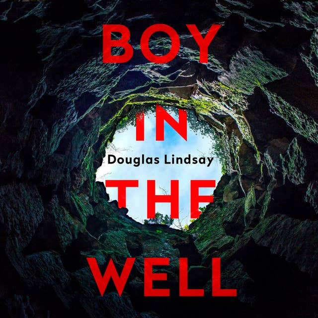 Cover for Boy in the Well