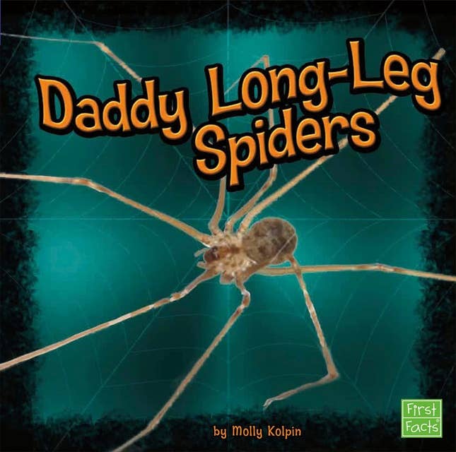 Daddy Long-Leg Spiders