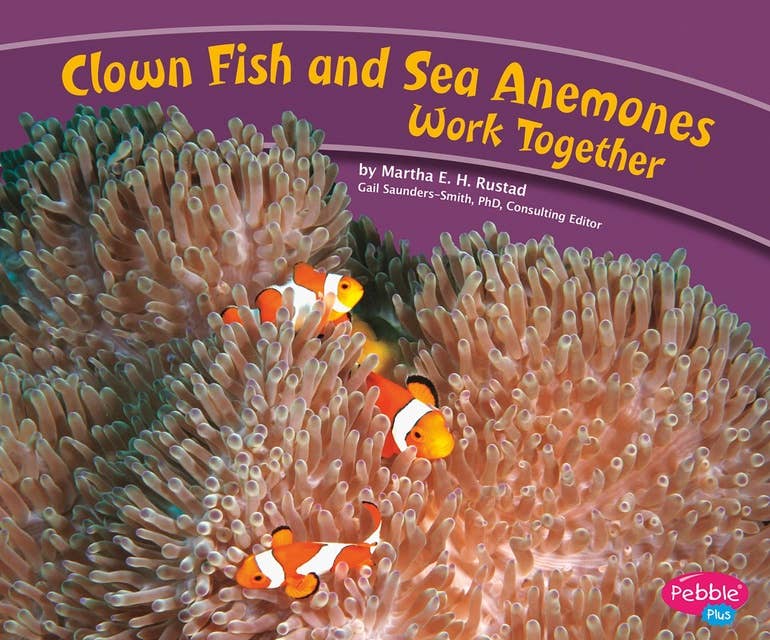 Clown Fish and Sea Anemones Work Together