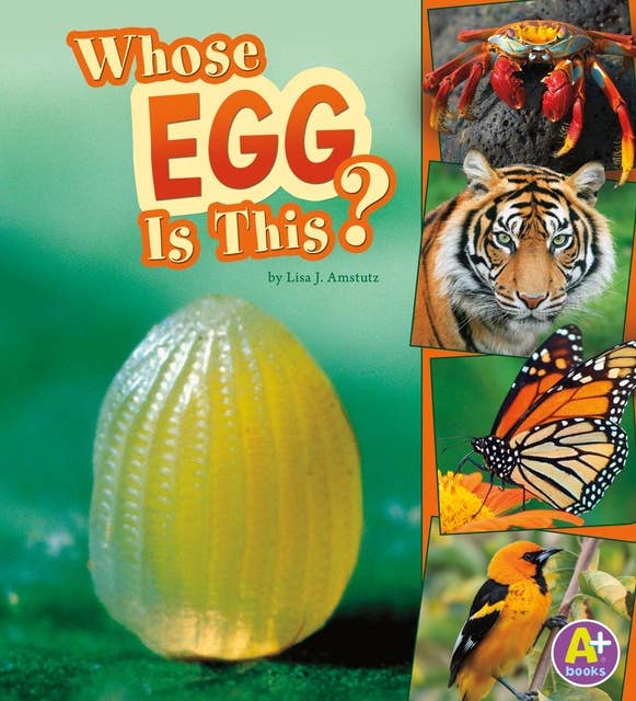 Whose Egg Is This?