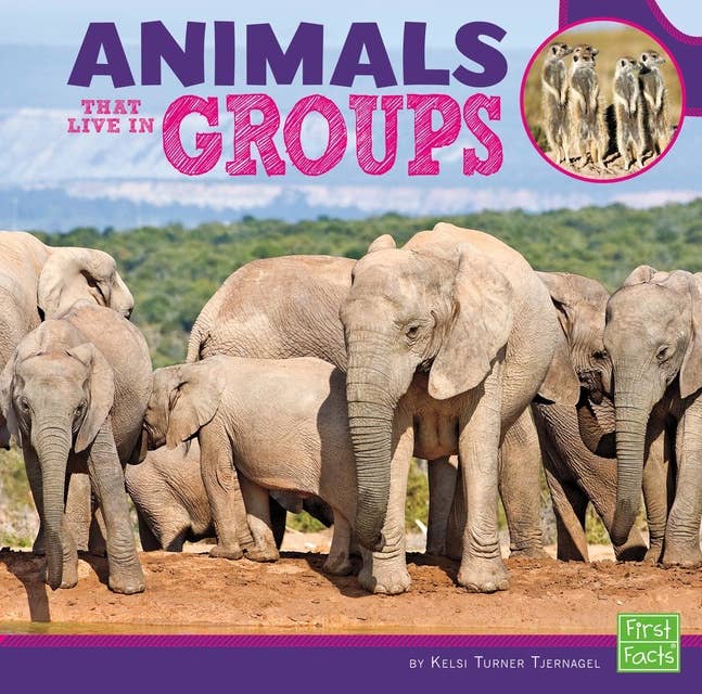 Animals That Live in Groups