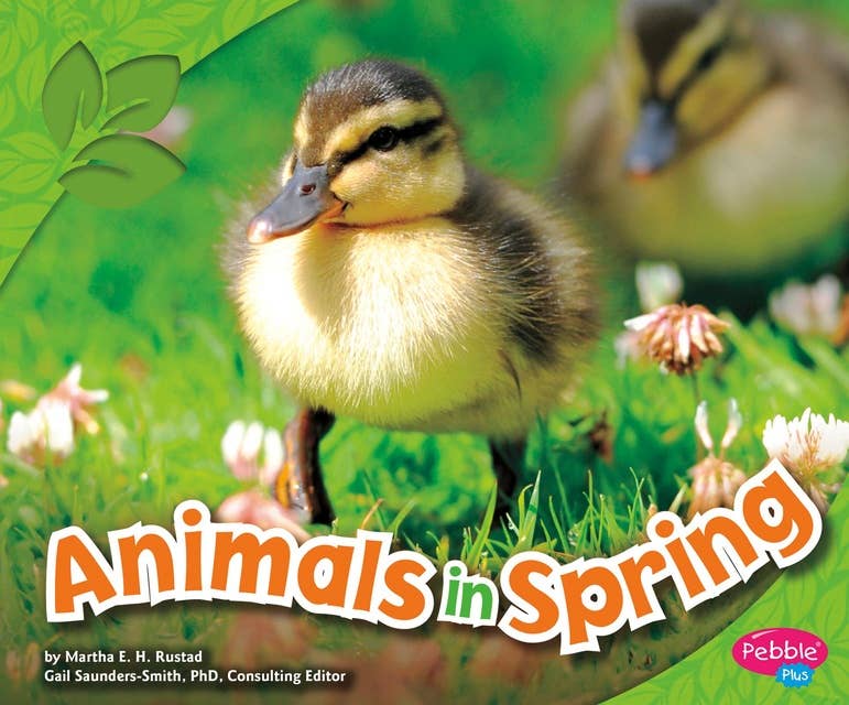Animals in Spring