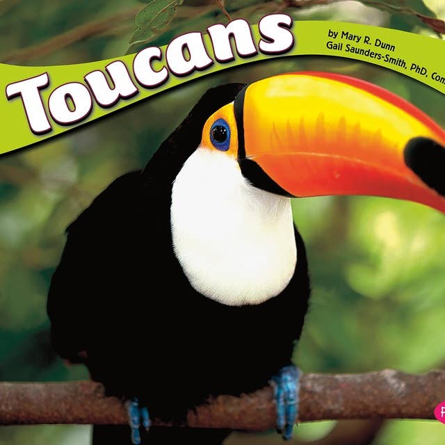 Toucans