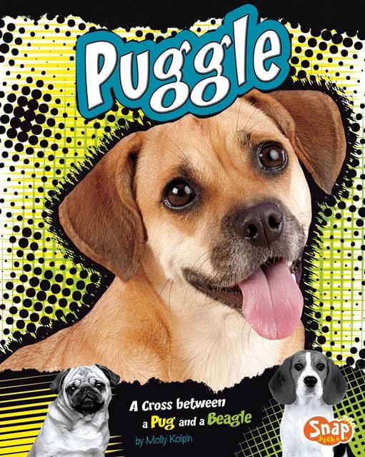 Puggle: A Cross Between a Pug and a Beagle