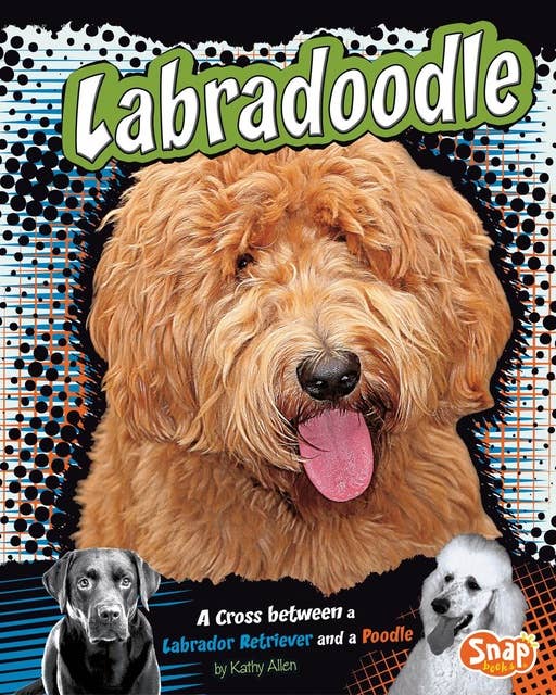 Labradoodle: A Cross Between a Labrador Retriever and a Poodle