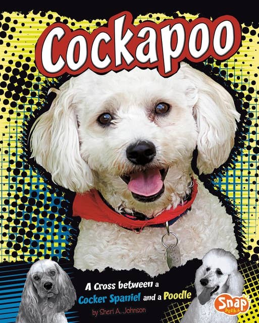 Cockapoo: A Cross Between a Cocker Spaniel and a Poodle