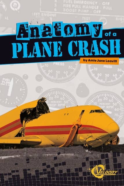 Anatomy of a Plane Crash
