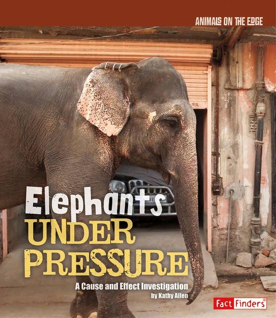 Elephants Under Pressure: A Cause and Effect Investigation