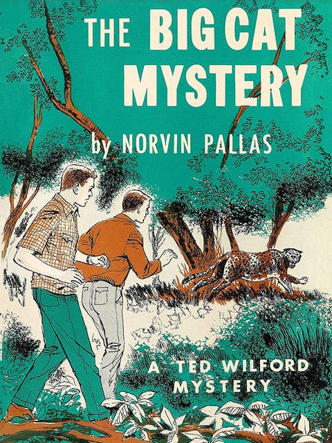 The Big Cat Mystery: Ted Wilford #9