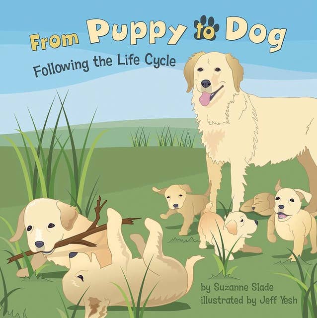 From Puppy to Dog: Following the Life Cycle