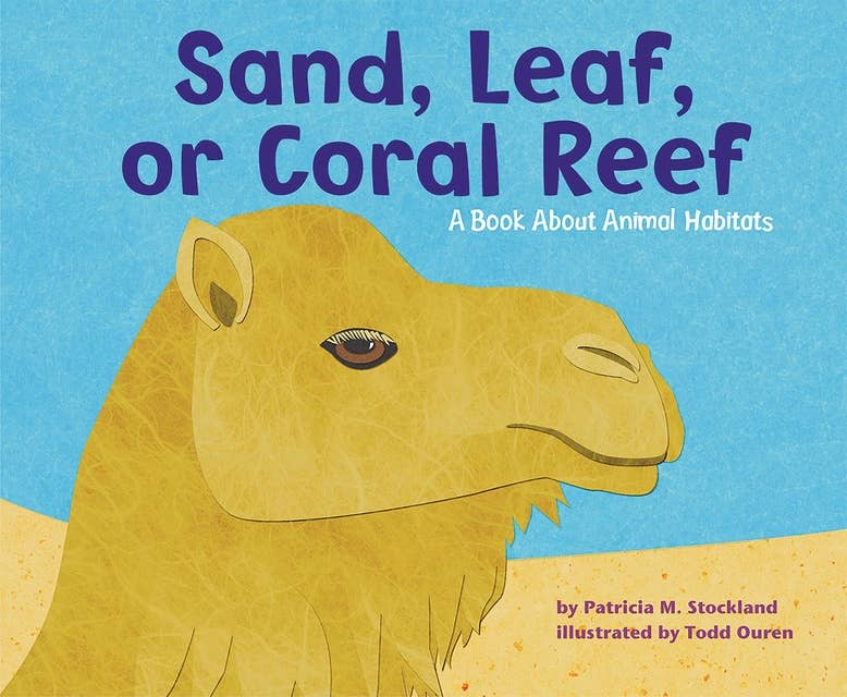 Sand, Leaf, or Coral Reef: A Book About Animal Habitats