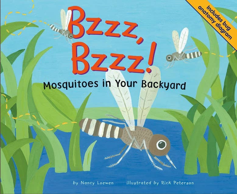 Bzzz, Bzzz!: Mosquitoes in Your Backyard