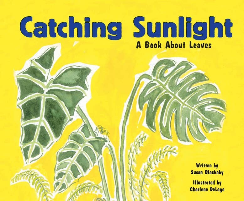 Catching Sunlight: A Book About Leaves